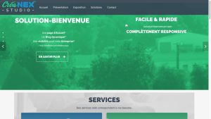 Page d’accueil du site CréaNex Studio.